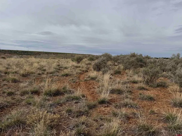 a view of a dry yard with wooden floor and fence