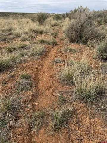 a view of a lake view