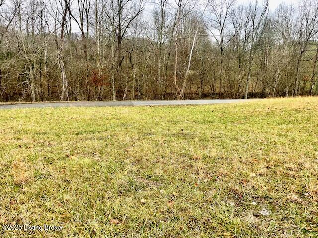 5 Timber Creek Road Bloomfield, KY 40008 - Photo 10 of 16 TC 5 Acres_Road