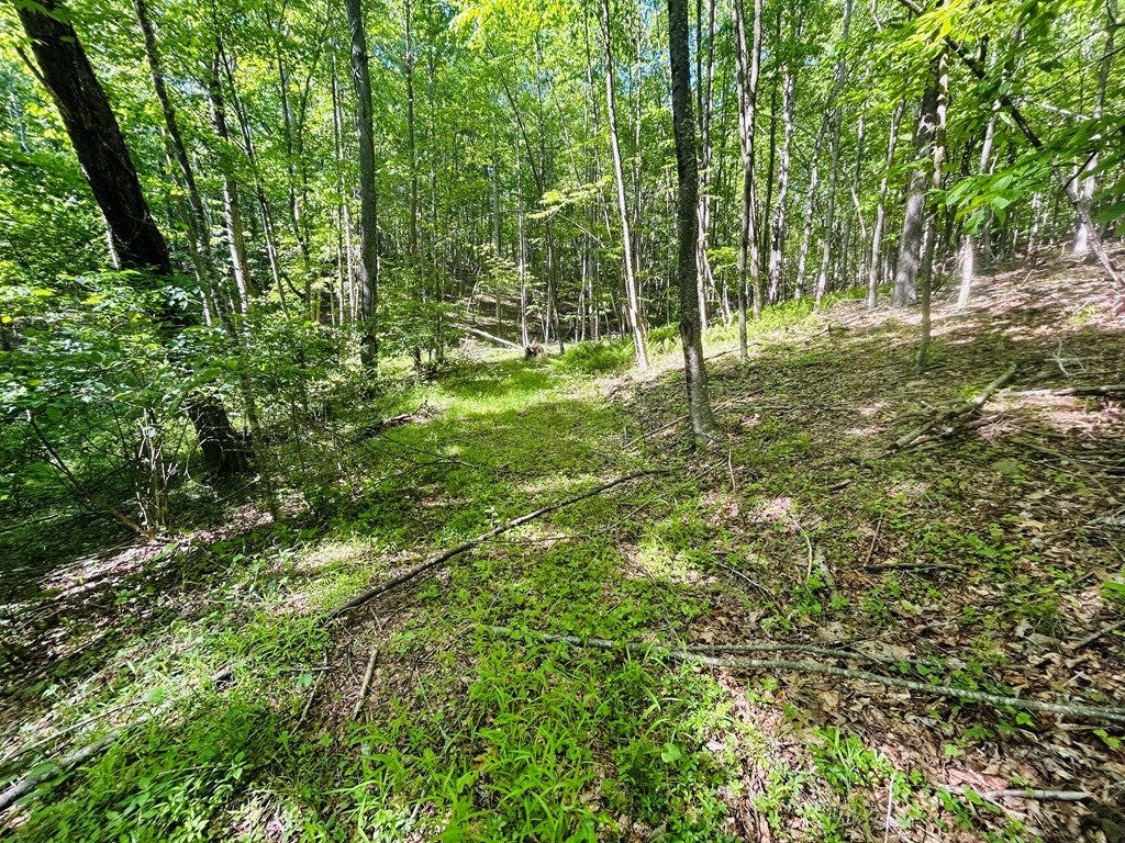 Tbd Pipers Gap Road Galax, VA 24333 - Photo 10 of 21 Gallery Image 10