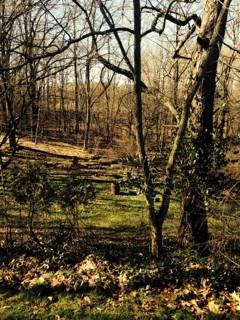 6852 Lamor Road Hermitage, PA 16148 - Photo 4 of 21 Gallery Image 4