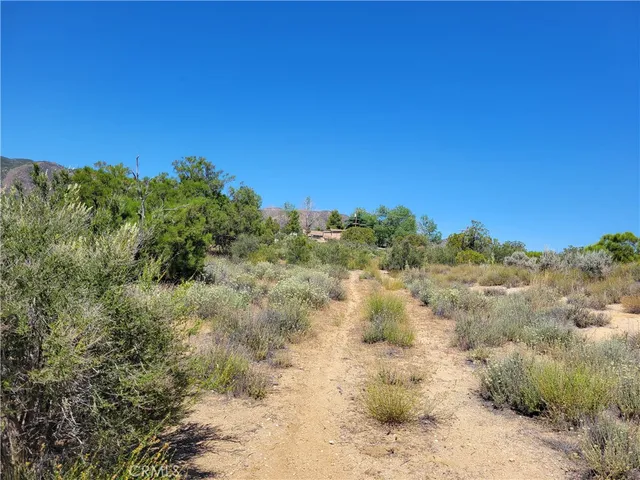a view of a yard with a tree
