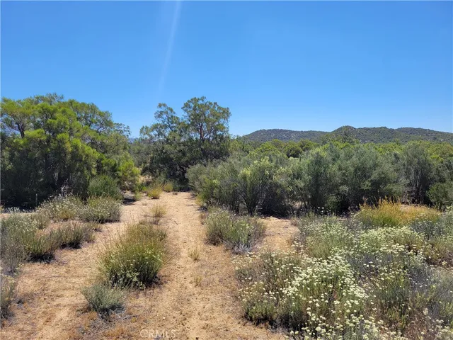 a view of a yard with a tree