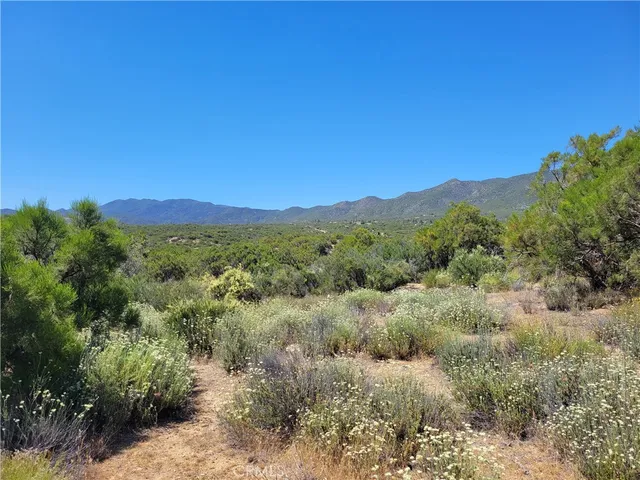 a view of a lush green mountain in the distance