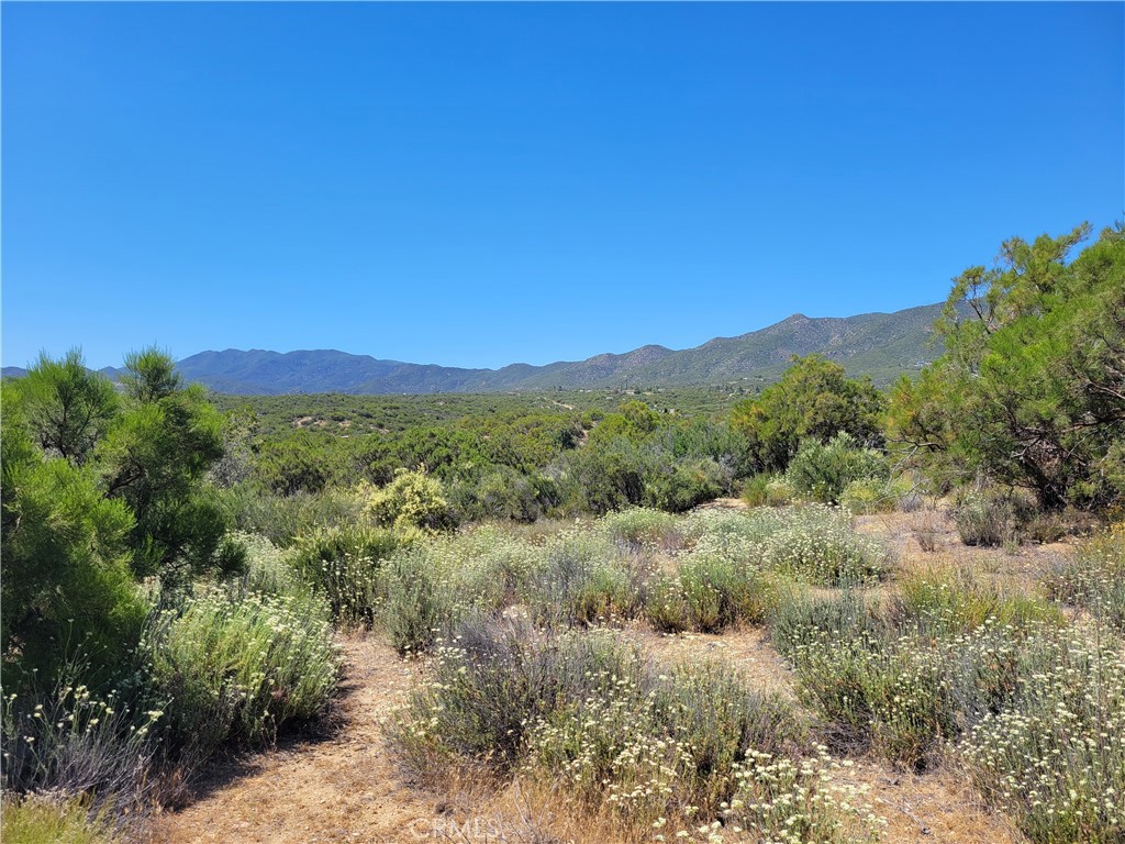 0 Terwilliger Road Anza, CA 92539 - Photo 4 of 8 a view of a lush green mountain in the distance