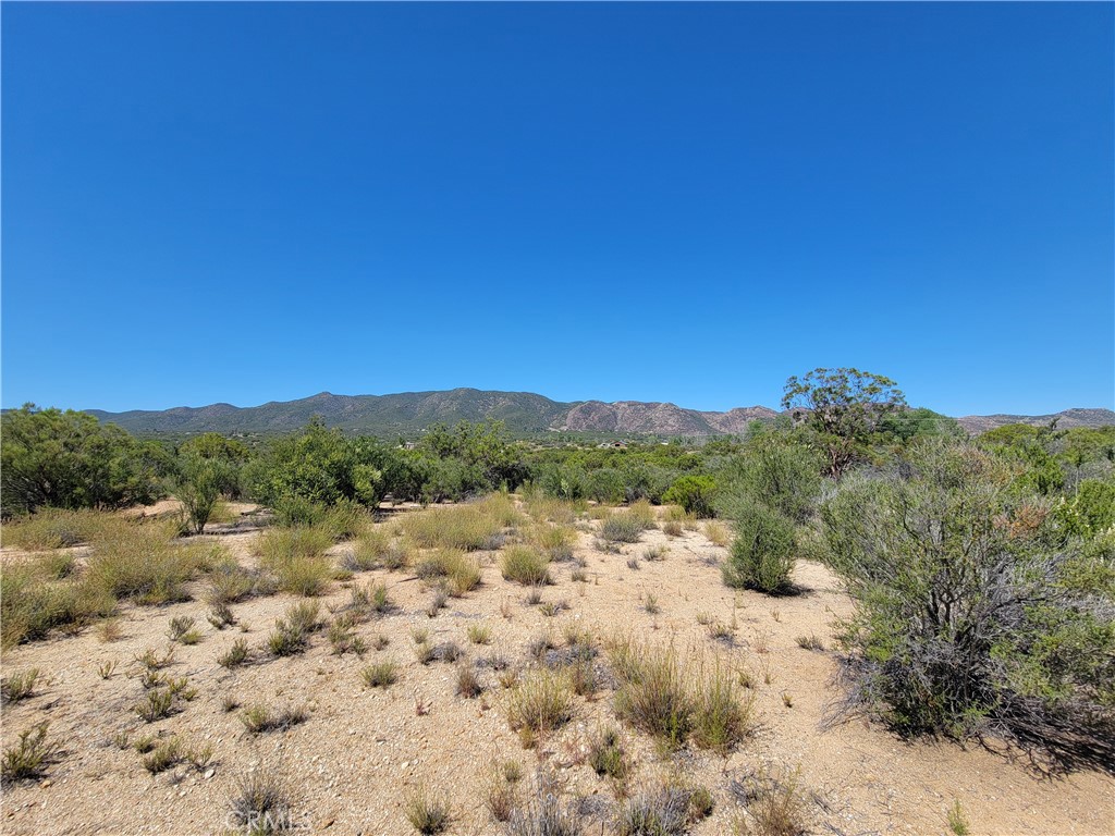 0 Terwilliger Road Anza, CA 92539 - Photo 6 of 8 a view of mountain with a yard