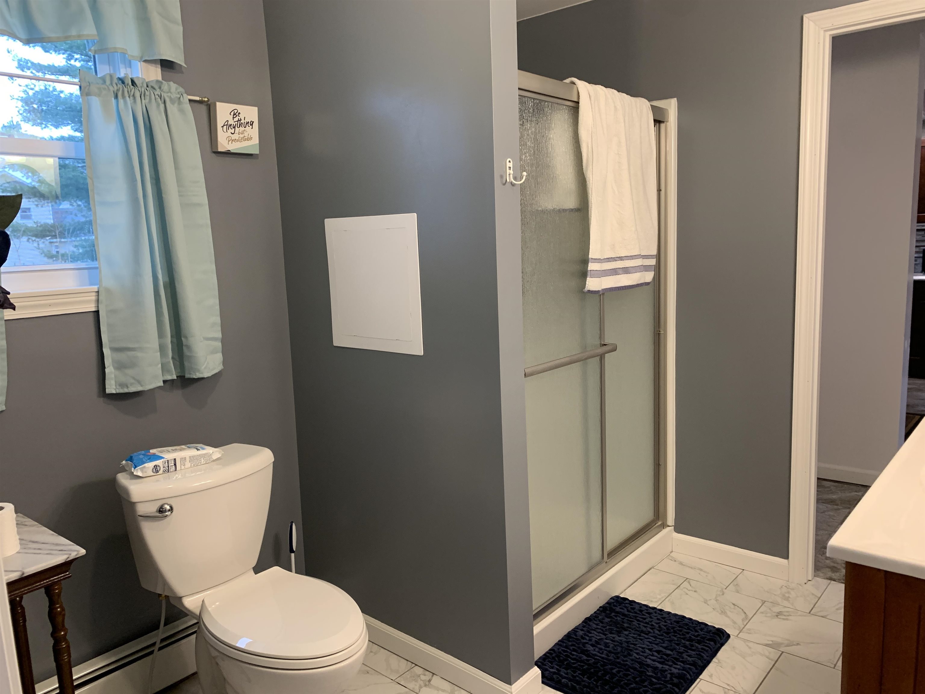 210 South Maple Street Maple Rapids, MI 48853 - Photo 16 of 36 1910138-16.JPG