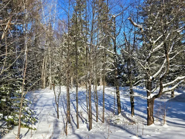 $75,000 | 22 Robbins Nest Lane, Unit 21, Dallas Plt, ME 04970