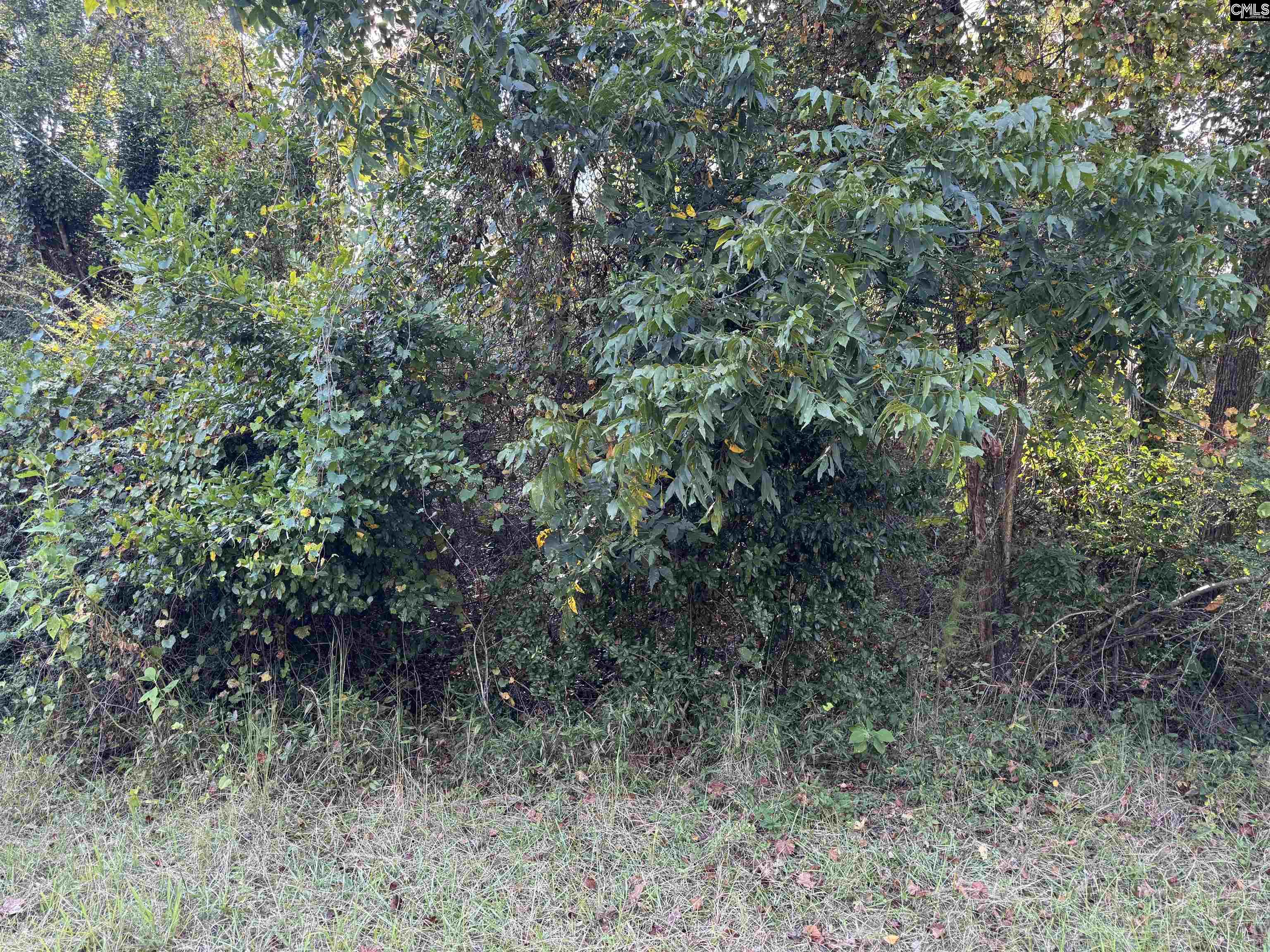0 Quattlebaum Avenue Ridge Spring, SC 29129 - Photo 8 of 9