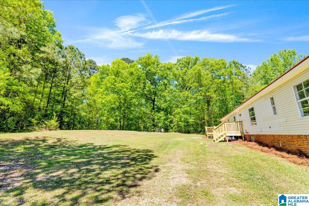 3955 River Ranch Road Ragland, AL 35131 - Photo 22 of 37