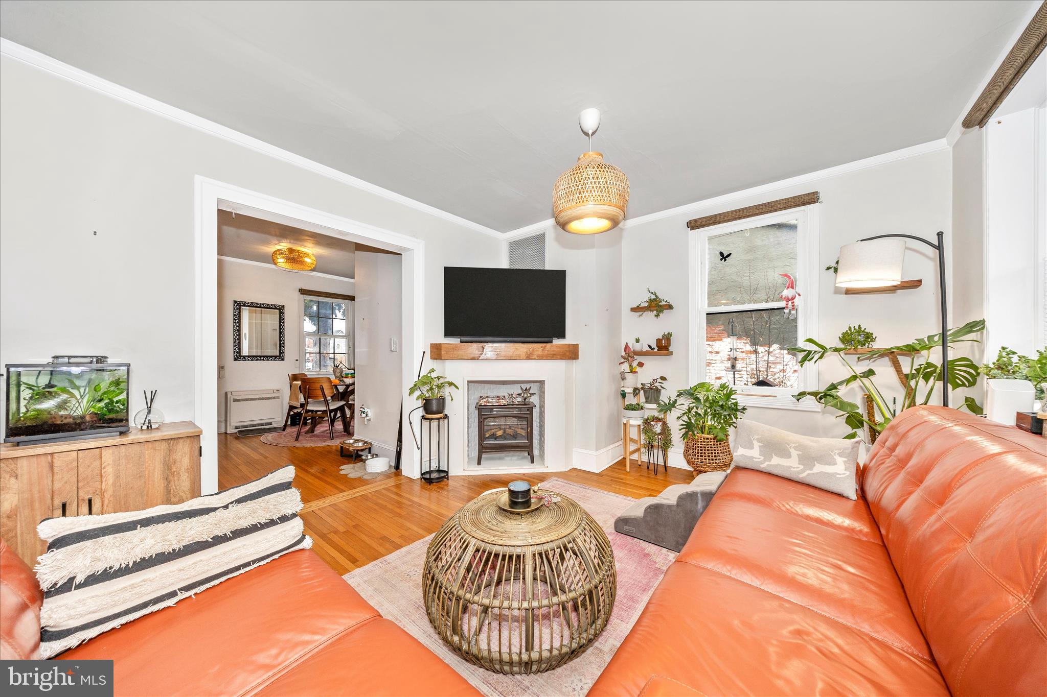 123 West 5th Street Frederick, MD 21701 - Photo 5 of 46 Living Room