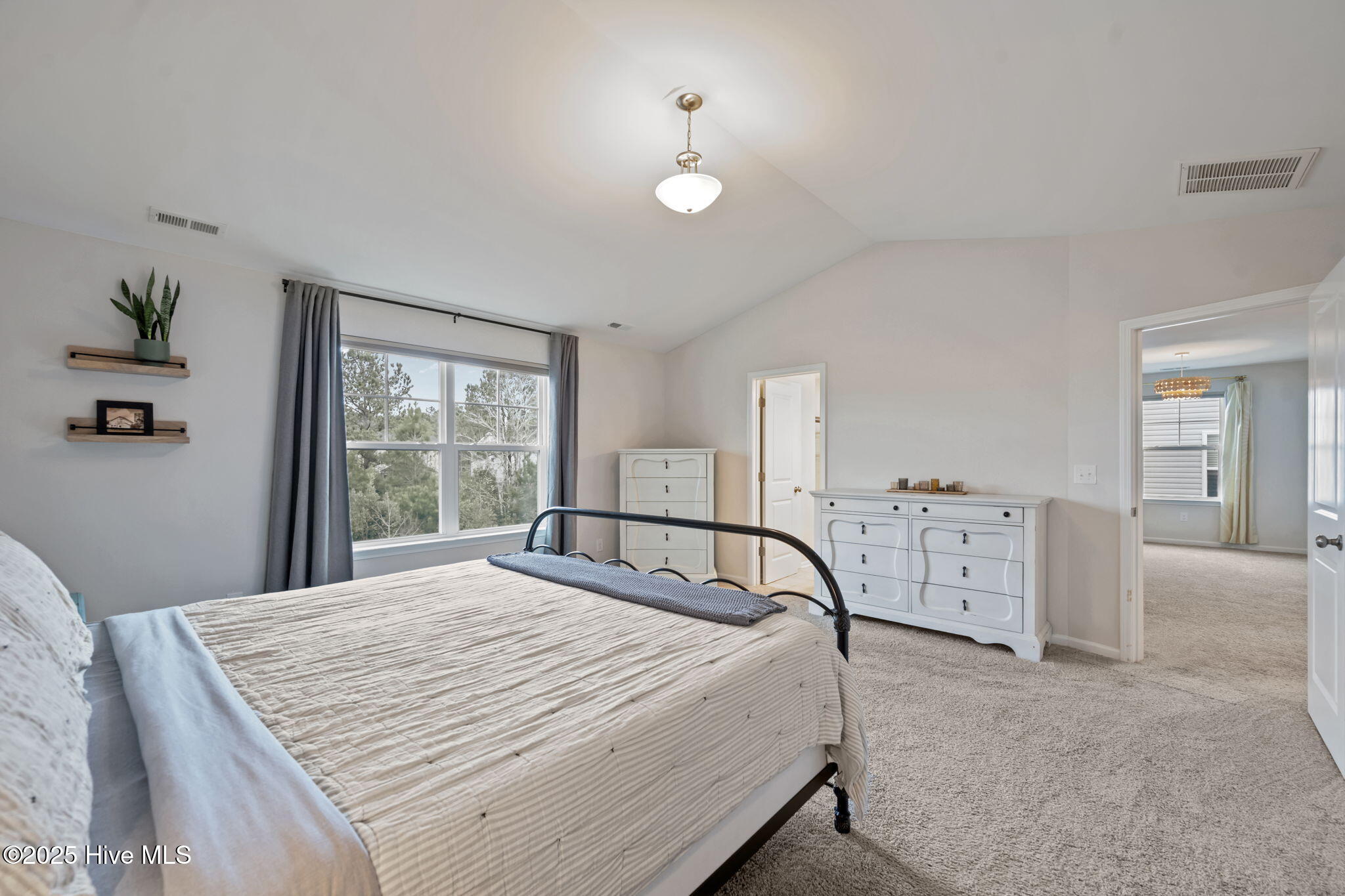 910 Terraces Lane Hampstead, NC 28443 - Photo 29 of 53 46-web-or-mls-_RAD6966