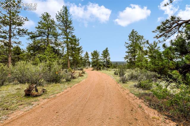 1701 Wildhorn Road Florissant, CO 80816 - Photo 40 of 50 Gallery Image 40