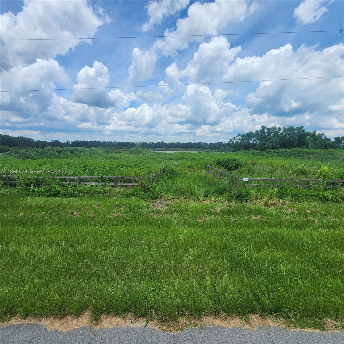 1940 Old Brewster Road Fort Meade, FL 33841 - Photo 4 of 13