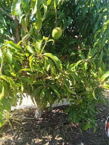 a backyard of a house