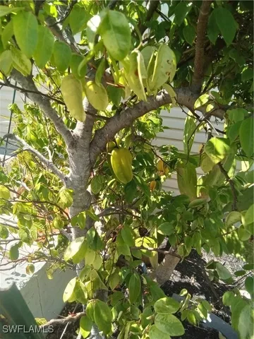 a view of a garden from a balcony