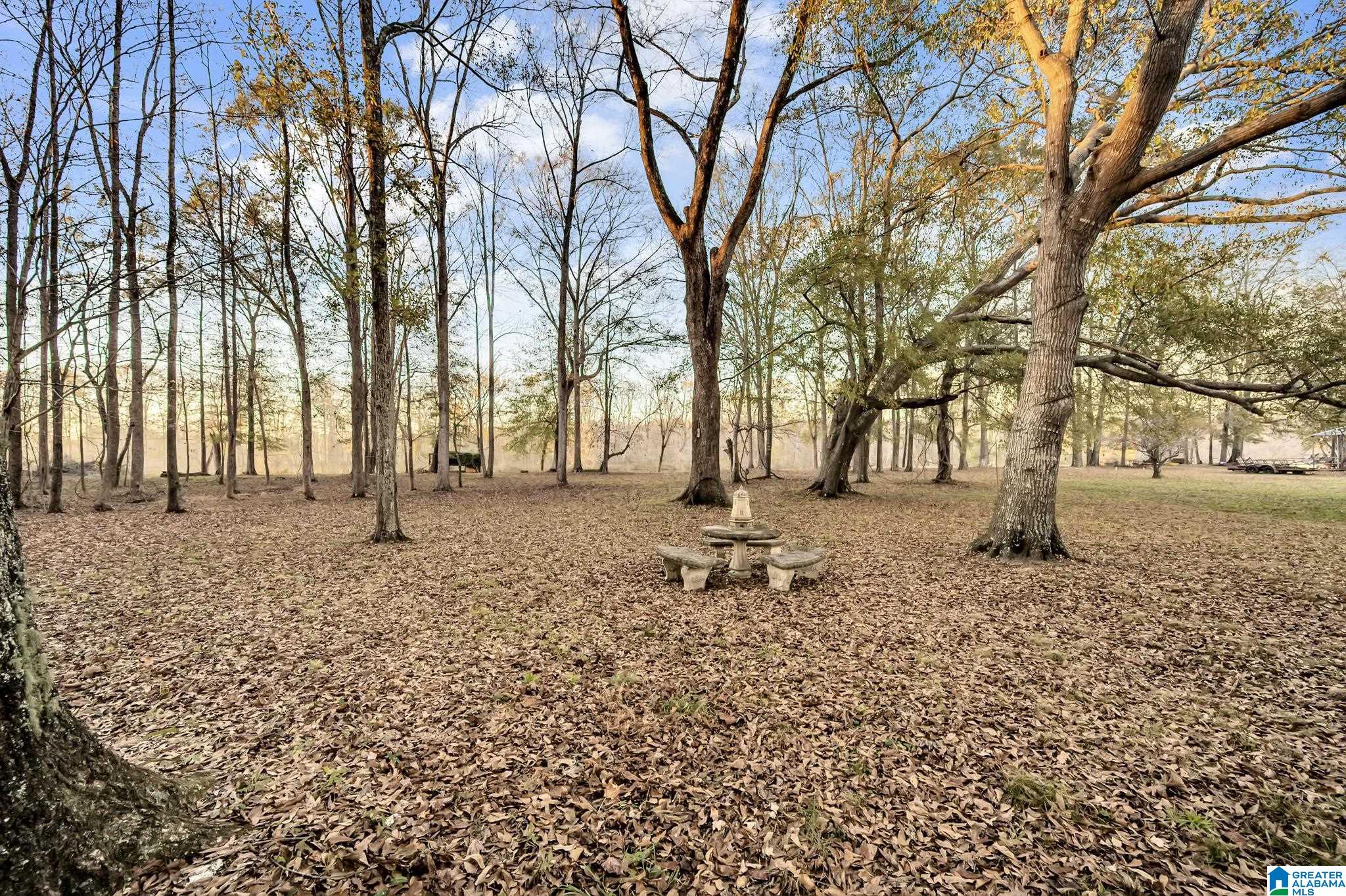 135 River Run Road Childersburg, AL 35044 - Photo 28 of 40