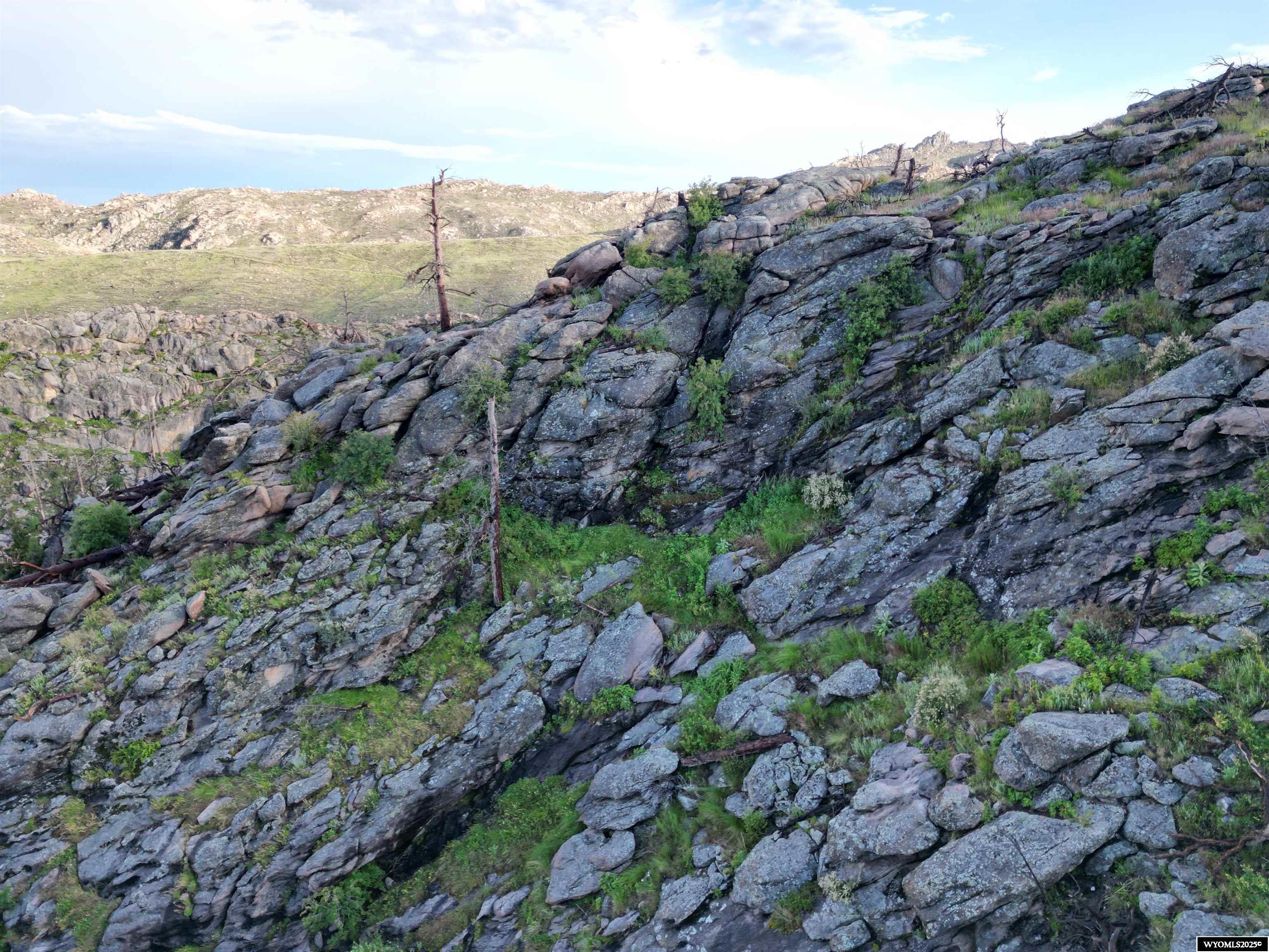 1154 Fish Creek Road Wheatland, WY 82201 - Photo 13 of 50