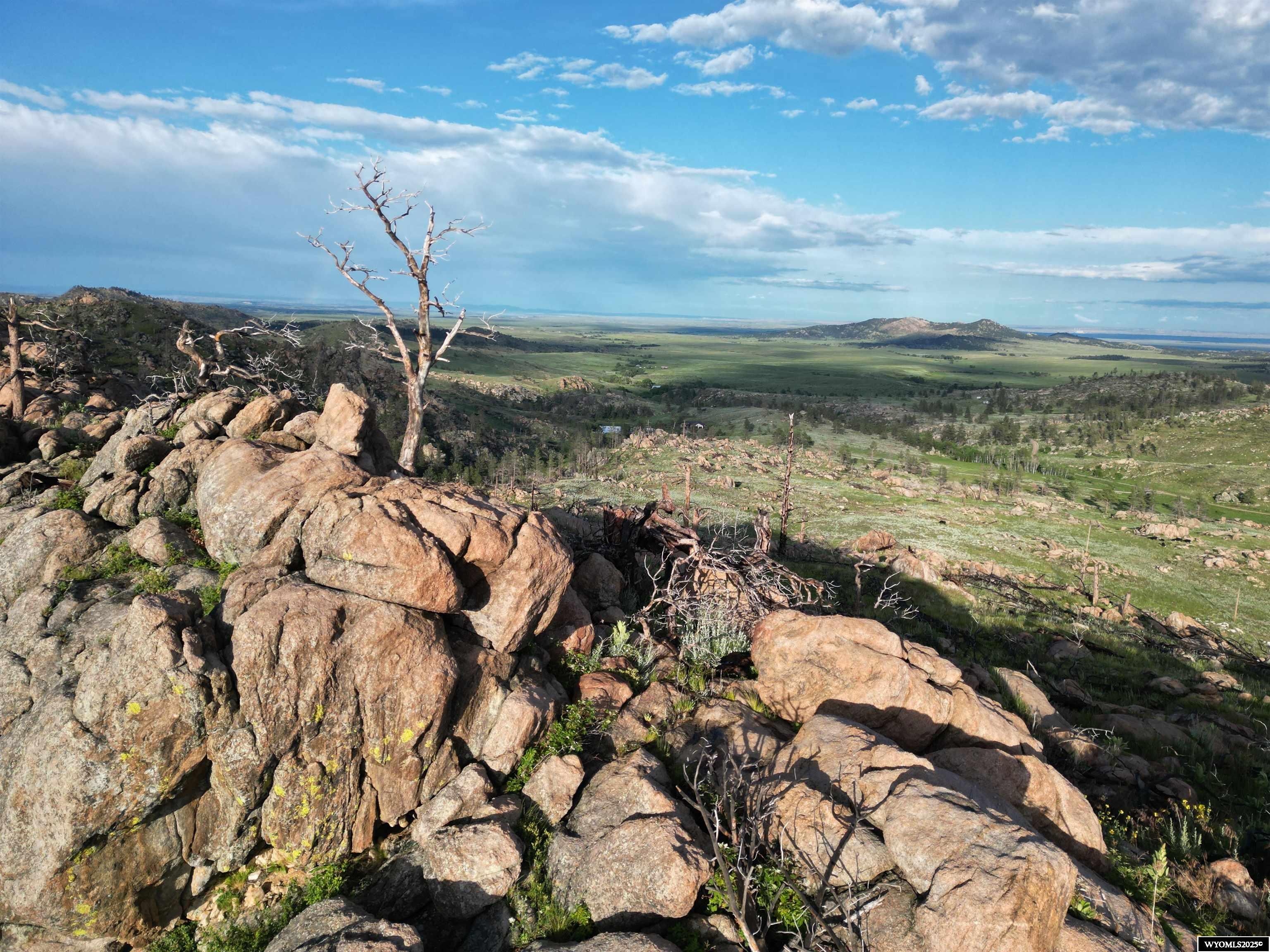 1154 Fish Creek Road Wheatland, WY 82201 - Photo 18 of 50