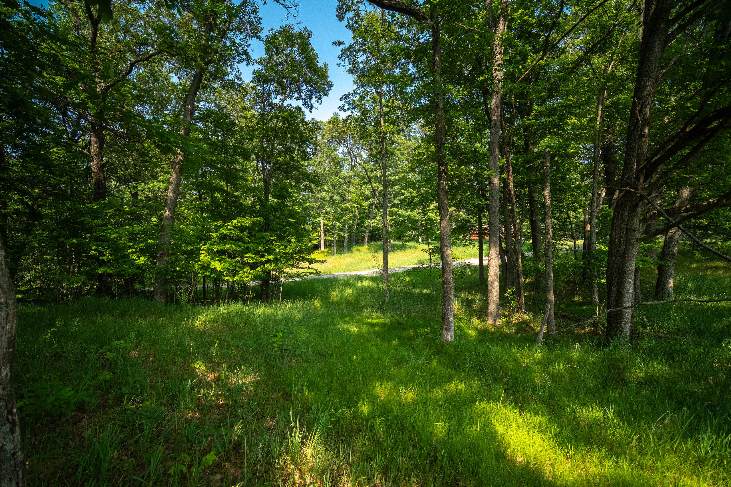 8161 Hunters Ridge Drive Irons, MI 49644 - Photo 25 of 37 Additional Views