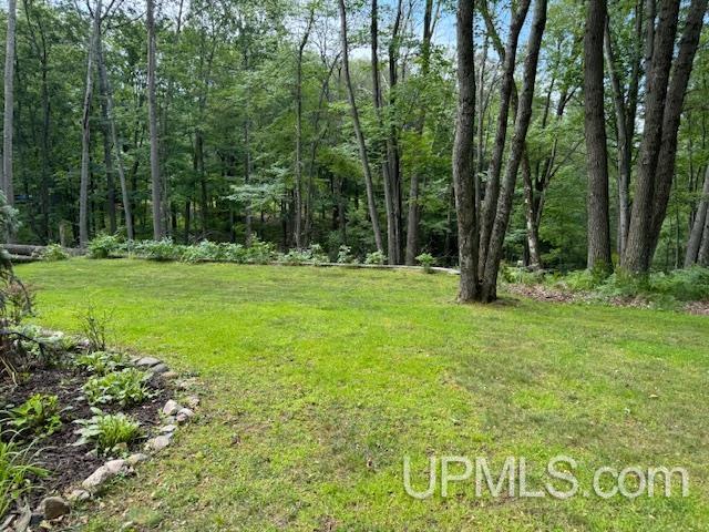 W8758 Bass Lk Acc Road Iron Mountain, MI 49801 - Photo 59 of 76