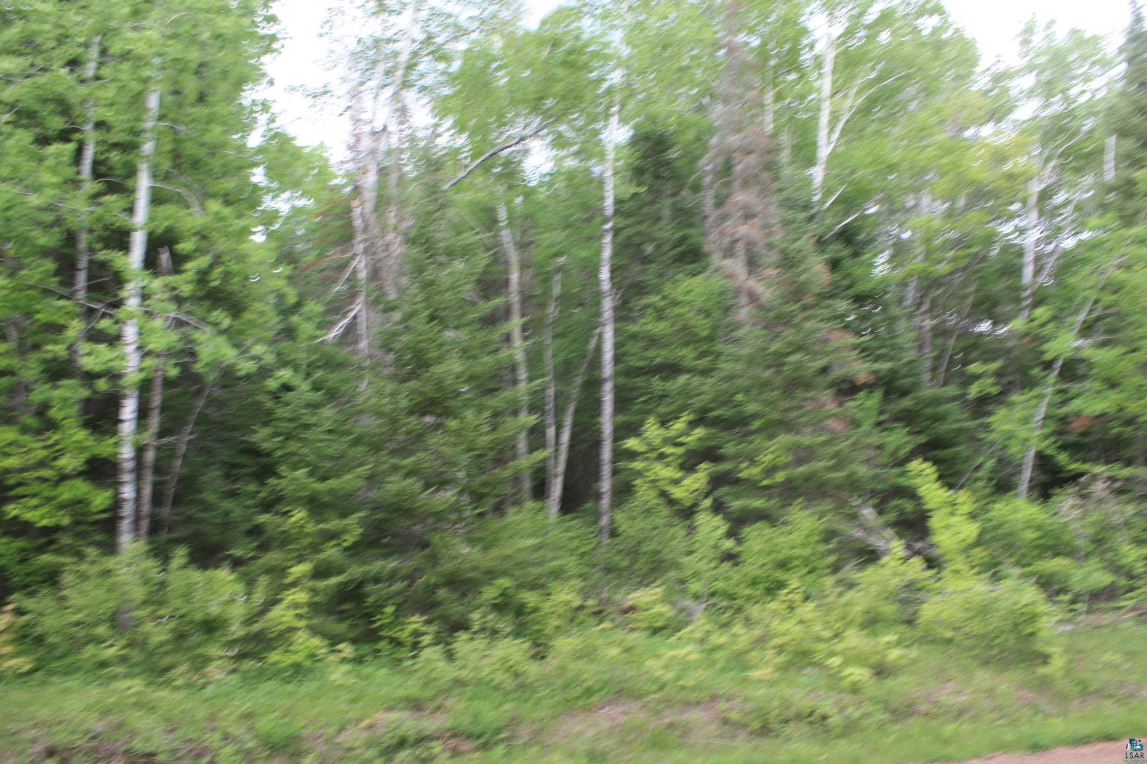74-xx Moose Lake Road Solon Springs, WI 54873 - Photo 2 of 3