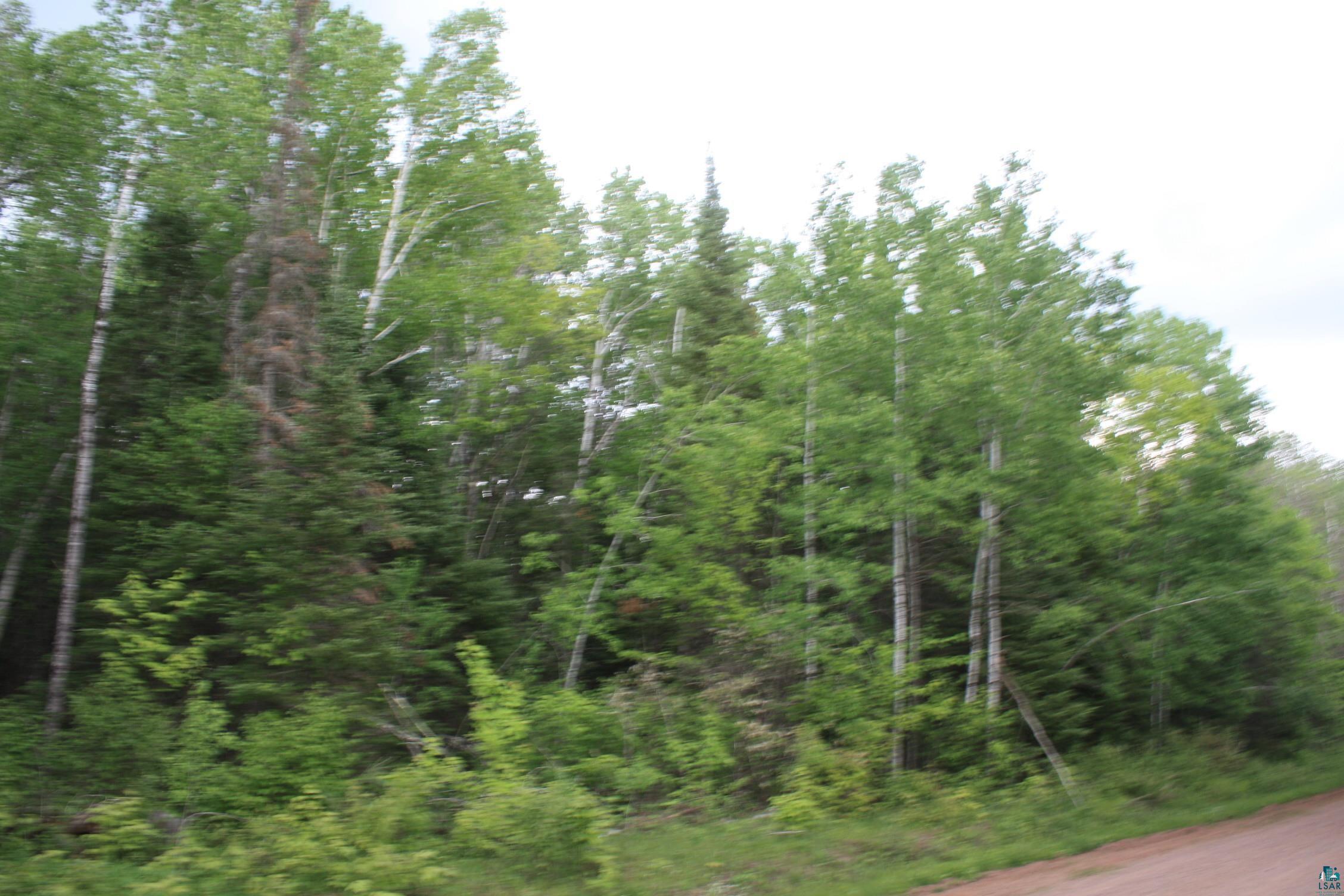 74-xx Moose Lake Road Solon Springs, WI 54873 - Photo 3 of 3