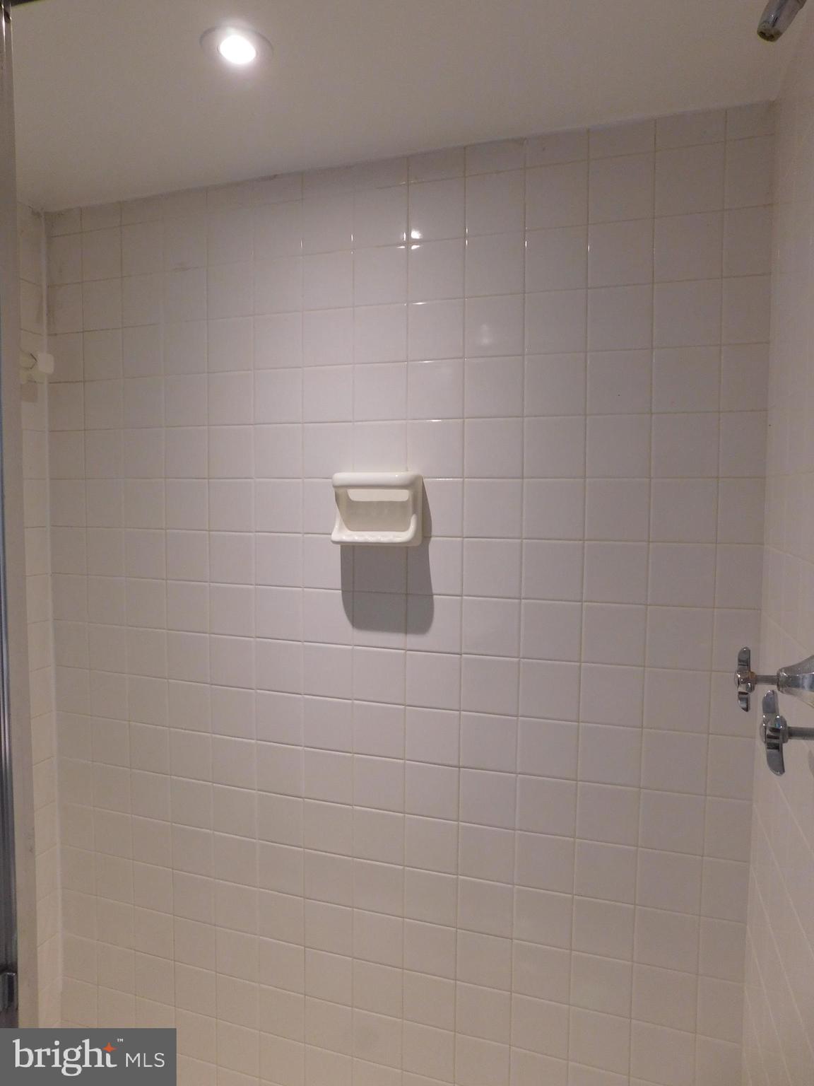 12125 Stirrup Road Reston, VA 20191 - Photo 44 of 56 Large shower.