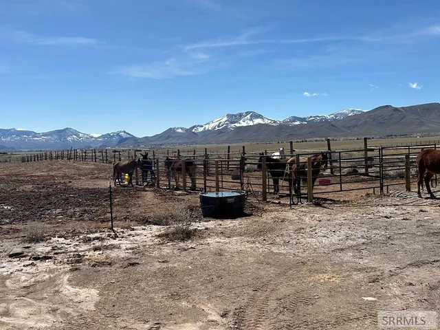 $520,000 | 699 Stephens Road, Challis, ID 83226