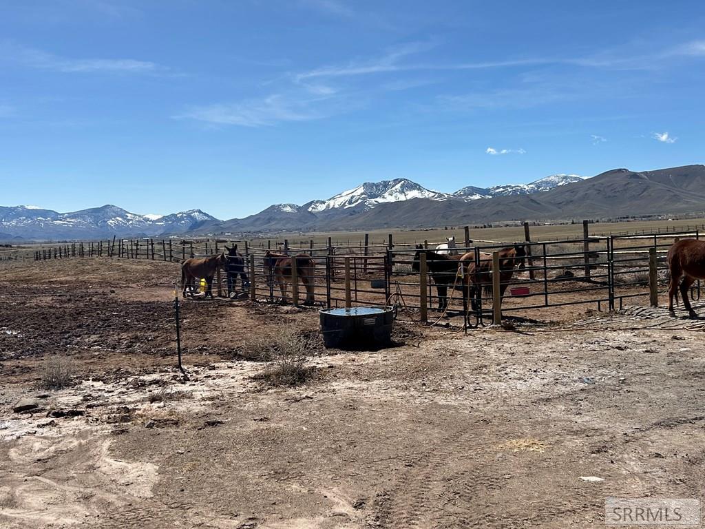 699 Stephens Road Challis, ID 83226 - Photo 26 of 40