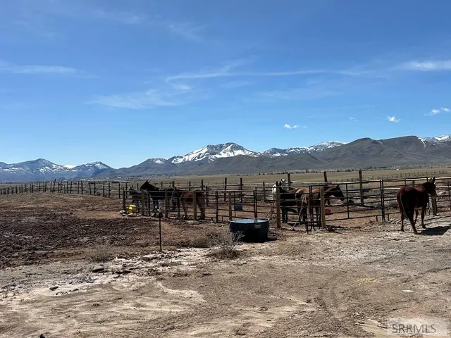 $520,000 | 699 Stephens Road, Challis, ID 83226