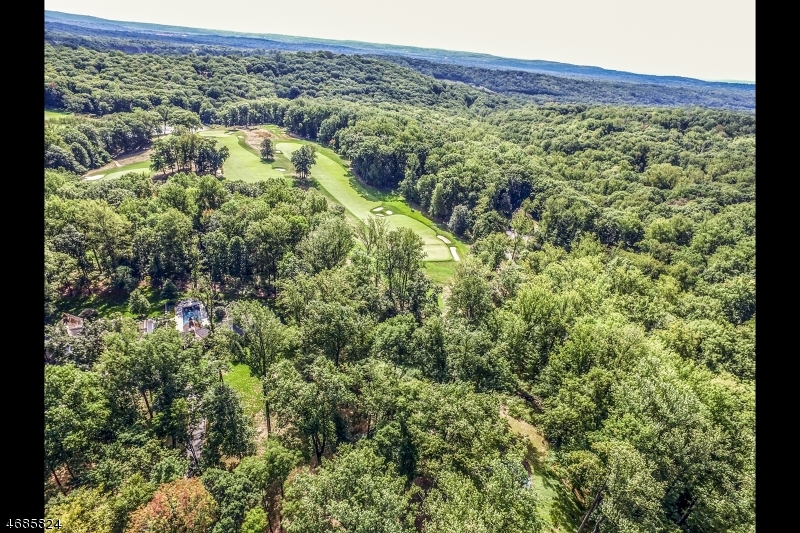 149 Overleigh Road Bernardsville, NJ 07924 - Photo 11 of 19