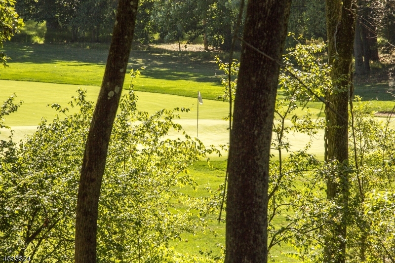 149 Overleigh Road Bernardsville, NJ 07924 - Photo 3 of 19