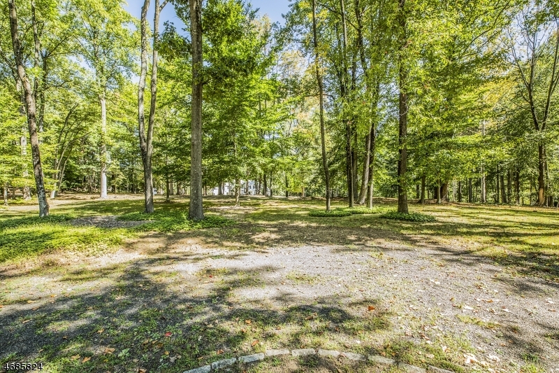 149 Overleigh Road Bernardsville, NJ 07924 - Photo 4 of 19