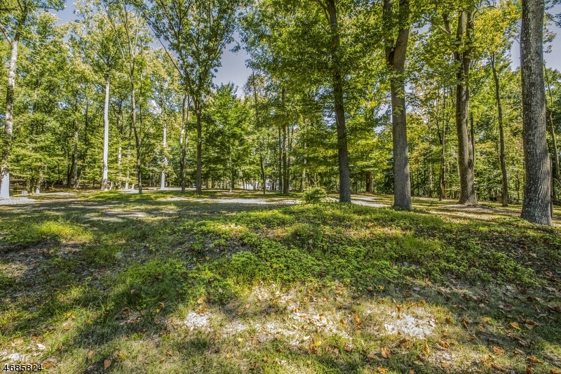 149 Overleigh Road Bernardsville, NJ 07924 - Photo 5 of 19