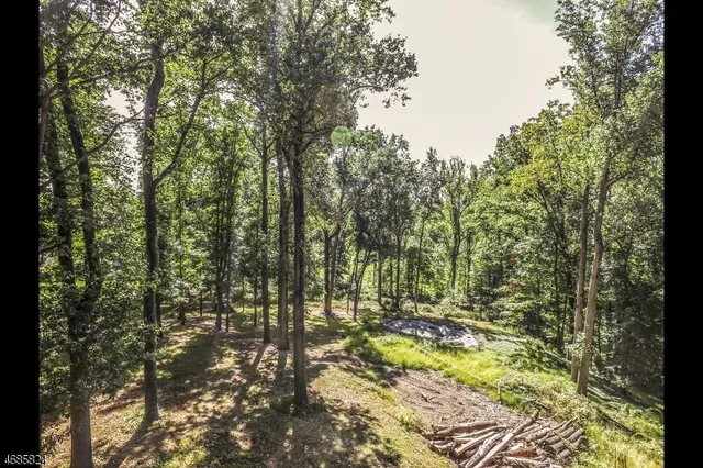 $1,099,000 | 149 Overleigh Road, Bernardsville, NJ 07924