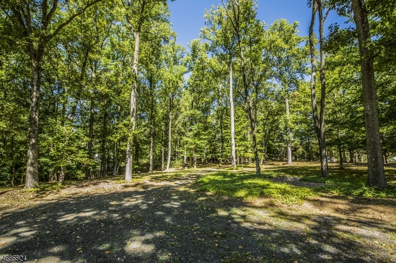 149 Overleigh Road Bernardsville, NJ 07924 - Photo 7 of 19