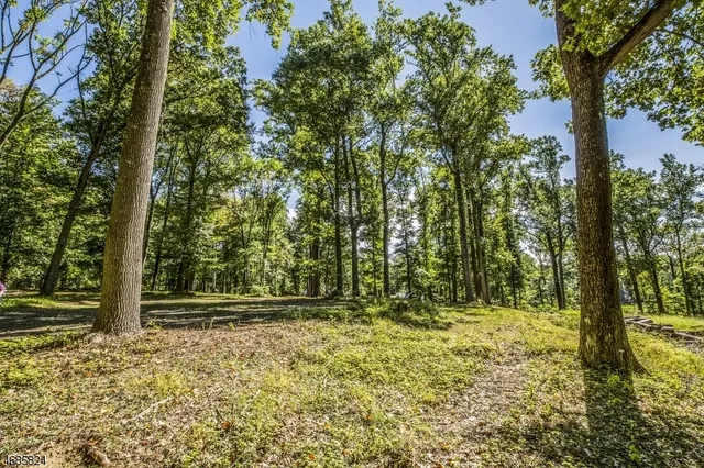 $1,099,000 | 149 Overleigh Road, Bernardsville, NJ 07924