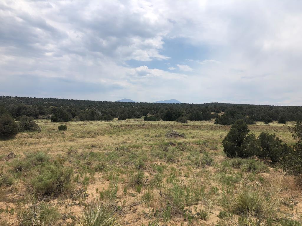 87-119 Twin Lakes Road Walsenburg, CO 81089 - Photo 14 of 21