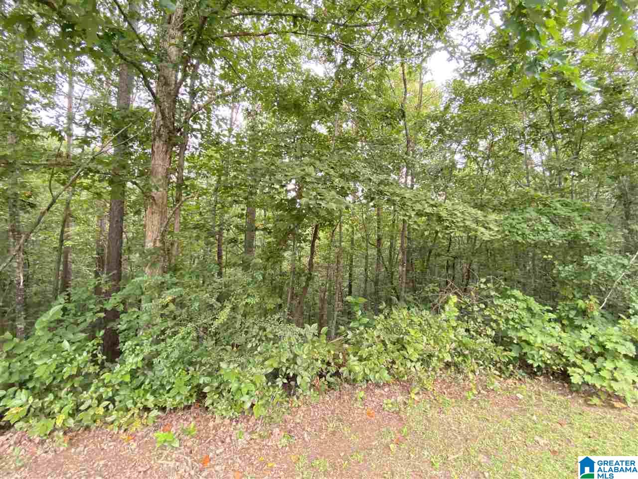4169 Cook Springs Road Pell City, AL 35125 - Photo 4 of 35