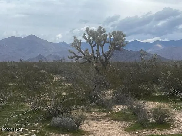$39,900 | 3639 West Yellow Bird Drive, Yucca, AZ 86438