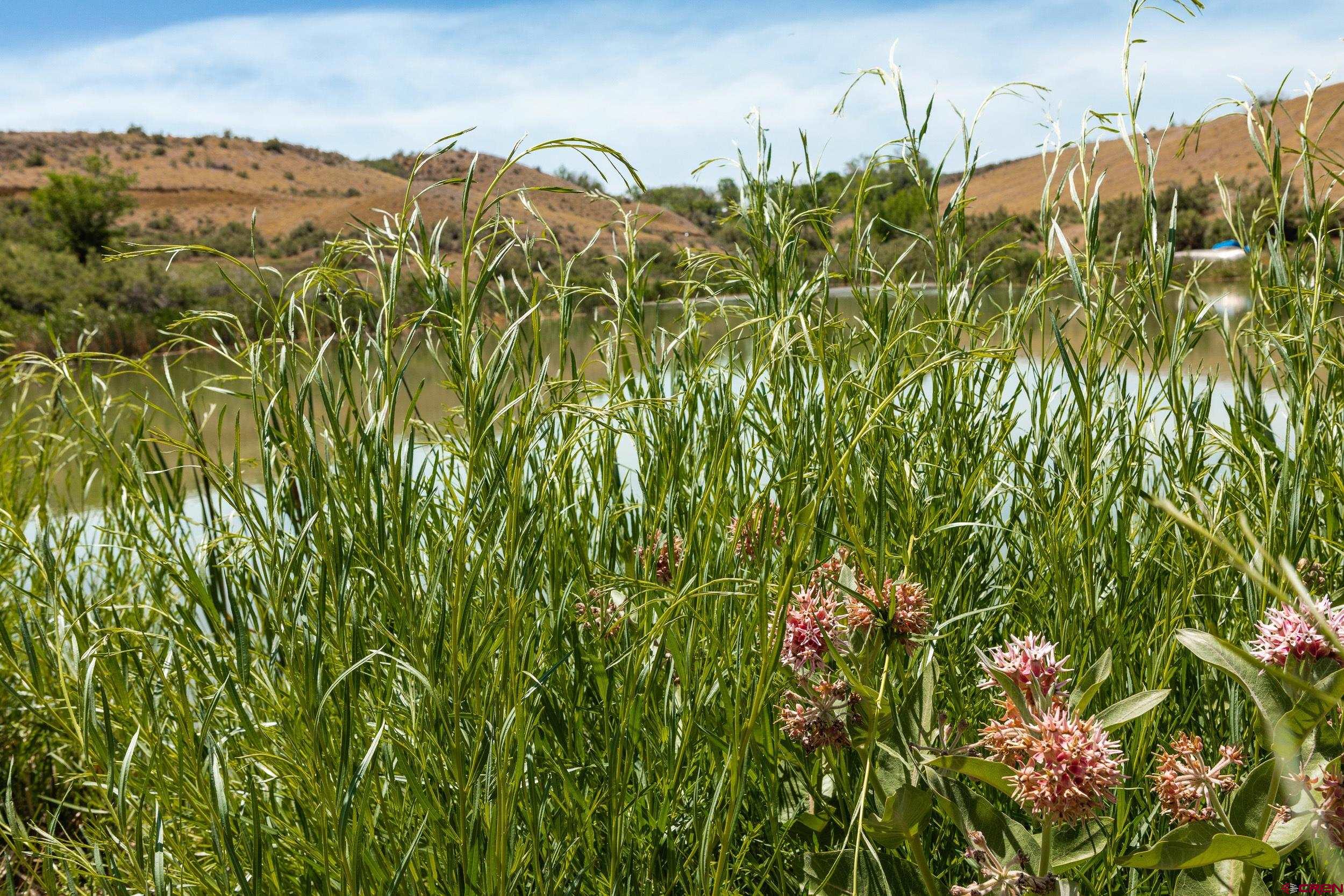 Tract 2 Kansas Road Montrose, CO 81403 - Photo 6 of 18 Gallery Image 6
