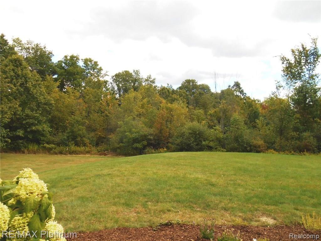 6885 Milford Road Holly, MI 48442 - Photo 5 of 88 DSCN2582.JPG