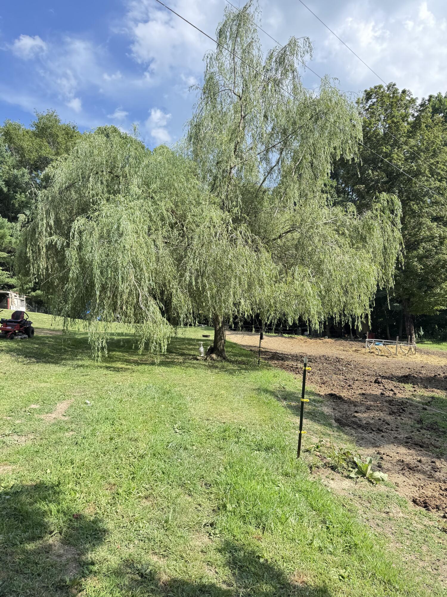 1007 Pollard Road Christiansburg, VA 24073 - Photo 26 of 28 tree