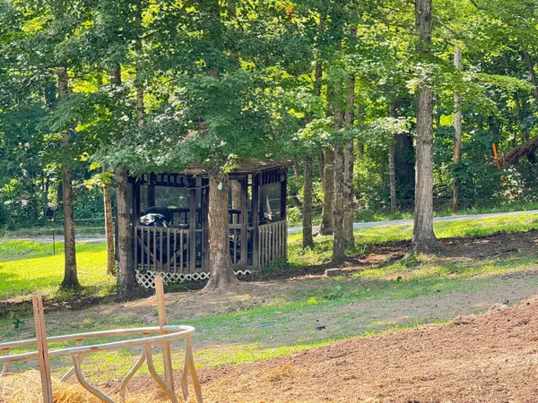 a view of a house with backyard and a tree