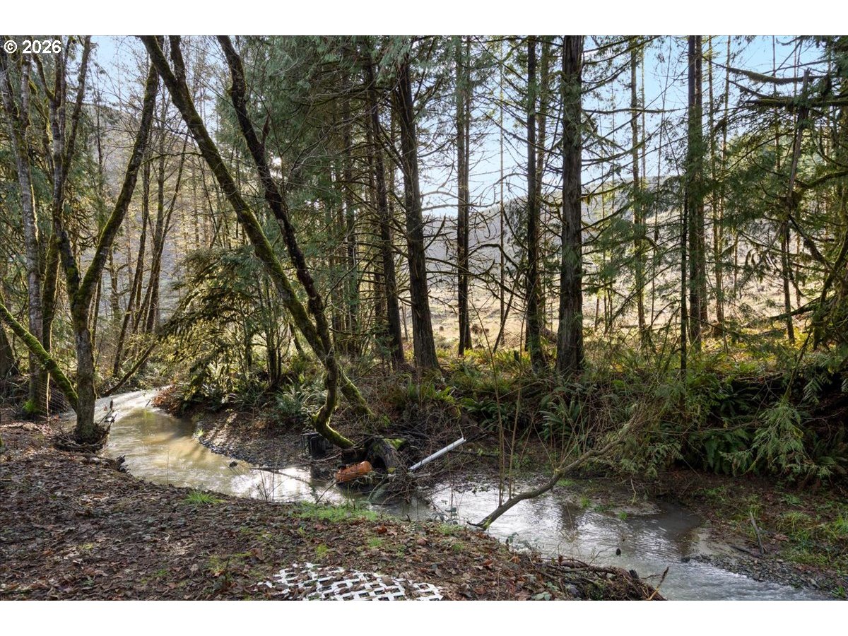 796 Lees Crk Road Myrtle Creek, OR 97457 - Photo 23 of 41