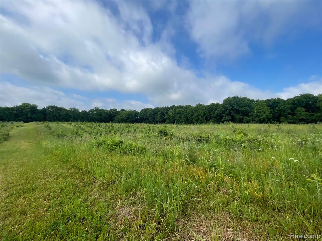 8 North Tipsico Lake Road Highland, MI 48357 - Photo 14 of 18