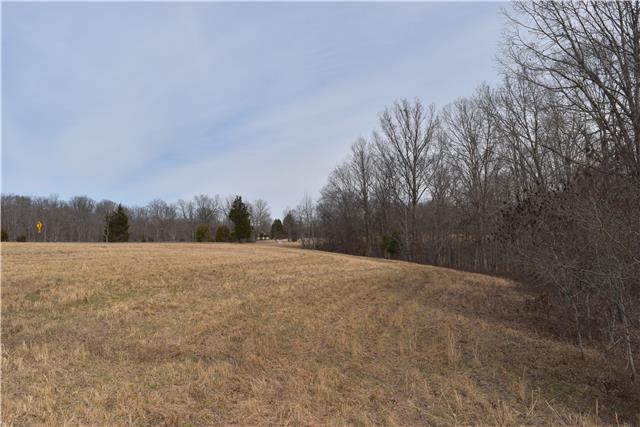 29 Hayes Ridge Road Indian Mound, TN 37079 - Photo 1 of 14 Gallery Image 1