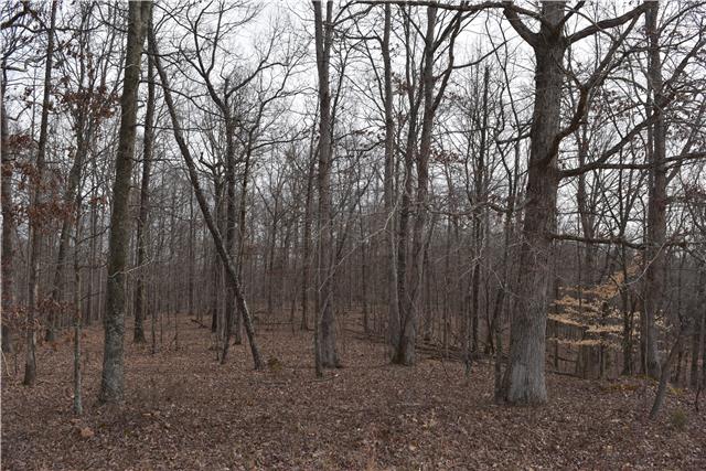 29 Hayes Ridge Road Indian Mound, TN 37079 - Photo 13 of 14 Gallery Image 13