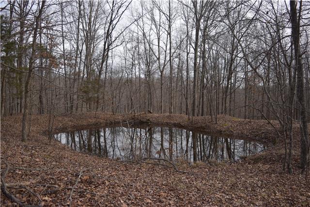 29 Hayes Ridge Road Indian Mound, TN 37079 - Photo 5 of 14 Gallery Image 5